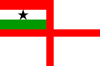 Navy ensign